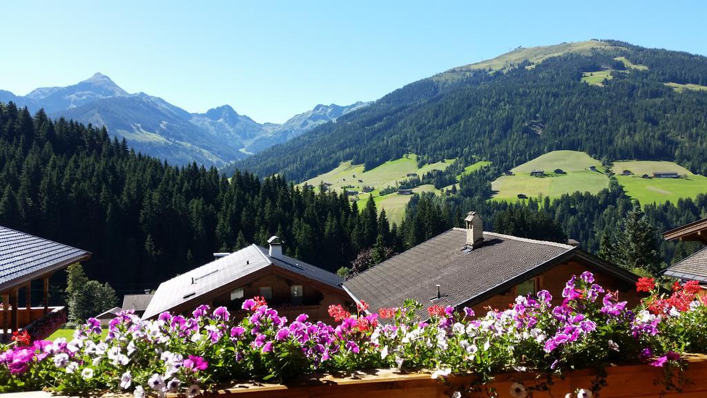 Hanslerfeld อัลพ์บาค ภายนอก รูปภาพ
