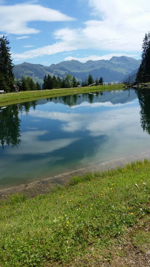 Hanslerfeld อัลพ์บาค ภายนอก รูปภาพ